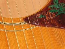 Gibson Dove '70_14