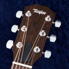 Taylor 114ce 【48回無金利】【トリファイドスプルース】【細目ネック】【C-Classブレーシング】_3