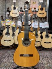 Juan Hernandez [ホアン・エルナンデス] Profesor Flamenca Negra with P.U. 【2023年製】【エレガット】_2