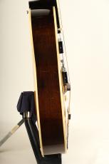 Archtop Tribute Archtop Tribute Custom ATC175D Classic P-90 2024_11