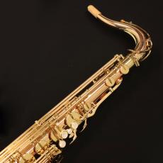 YANAGISAWA T-WO2_2
