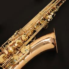 YANAGISAWA T-WO2_3