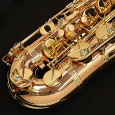 YANAGISAWA T-WO2_4