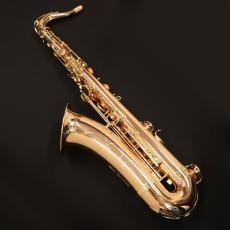 YANAGISAWA T-WO2_5