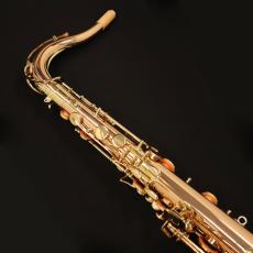 YANAGISAWA T-WO2_6