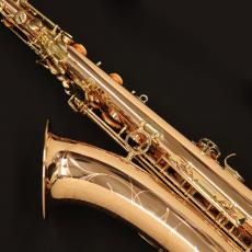 YANAGISAWA T-WO2_7