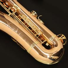 YANAGISAWA T-WO2_8