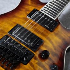E-II HORIZON FR-II (Tyger Eye Sunburst)【分割48回払い無金利対象商品】_3