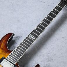 E-II HORIZON FR-II (Tyger Eye Sunburst)【分割48回払い無金利対象商品】_4