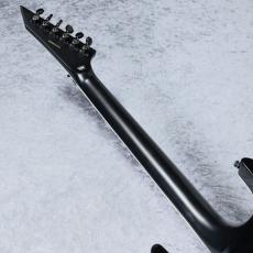 E-II HORIZON FR-II (Tyger Eye Sunburst)【分割48回払い無金利対象商品】_7