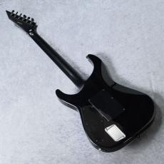 E-II HORIZON FR-II (Tyger Eye Sunburst)【分割48回払い無金利対象商品】_9