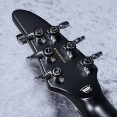 E-II HORIZON NT FM -Dark Brown Sunburst-【分割48回払い無金利対象商品】_7