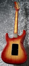 Valley Arts Custom Pro USA  1 Piece Maple [4.03kg[1991年製]_8