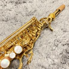 YAMAHA YSS-875EXHG_2