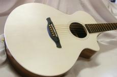 James J-300C II