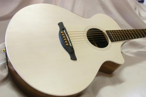 James J-300C II