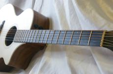 James J-300C II_6