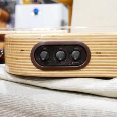 L.R.Baggs AEG-1 / Engelmann Spruce / Natural _15