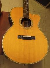 ARIA SP-1 Sandpiper (1990s)