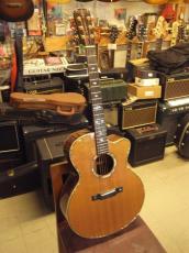 ARIA SP-1 Sandpiper (1990s)_8