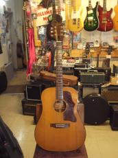 Gibson J-50 Deluxe (1970's)_2