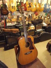 Gibson J-50 Deluxe (1970's)_3