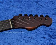 Westville Westel Semi-Hollow (Spruce top, Honduras Mahogany back / C8-AL4) _5