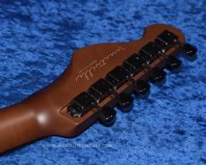 Westville Westel Semi-Hollow (Spruce top, Honduras Mahogany back / C8-AL4) _6