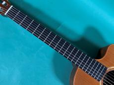 Lowden S-25J_8
