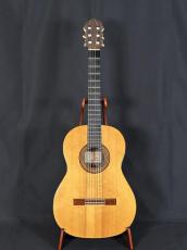 Domingo Esteso 松/ハカランダ単板_2