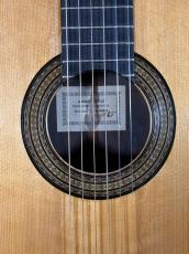 Domingo Esteso 松/ハカランダ単板_5