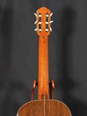 Domingo Esteso 松/ハカランダ単板_6