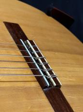 Domingo Esteso 松/ハカランダ単板_9