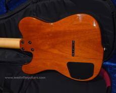 Westville Westel Semi-Hollow (Spruce top, Honduras Mahogany back / C8-AL4)_3