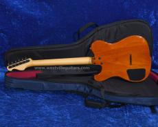 Westville Westel Semi-Hollow (Spruce top, Honduras Mahogany back / C8-AL4)_4