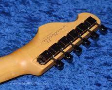 Westville Westel Semi-Hollow (Spruce top, Honduras Mahogany back / C8-AL4)_6