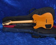 Westville Westel Semi-Hollow (Spruce top, Honduras Mahogany back / C8-AL4) _4