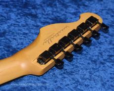 Westville Westel Semi-Hollow (Spruce top, Honduras Mahogany back / C8-AL4) _6