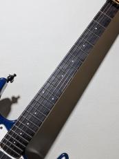 P-Project Custom ST Model【3.72?】【EMGピックアップ】_6