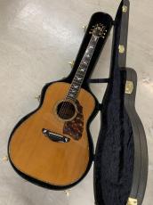 Terry's Casual TC-7J BIRD テリーズ カジュアル!L.R Baggs Element VTC付き!