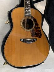 Terry's Casual TC-7J BIRD テリーズ カジュアル!L.R Baggs Element VTC付き!_2