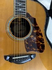 Terry's Casual TC-7J BIRD テリーズ カジュアル!L.R Baggs Element VTC付き!_3
