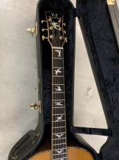 Terry's Casual TC-7J BIRD テリーズ カジュアル!L.R Baggs Element VTC付き!_4