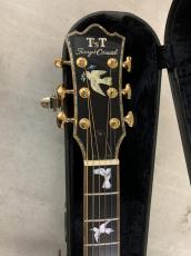 Terry's Casual TC-7J BIRD テリーズ カジュアル!L.R Baggs Element VTC付き!_5