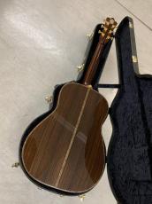 Terry's Casual TC-7J BIRD テリーズ カジュアル!L.R Baggs Element VTC付き!_6