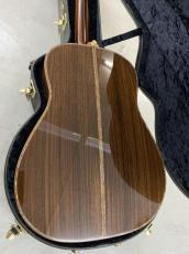 Terry's Casual TC-7J BIRD テリーズ カジュアル!L.R Baggs Element VTC付き!_7