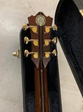 Terry's Casual TC-7J BIRD テリーズ カジュアル!L.R Baggs Element VTC付き!_9