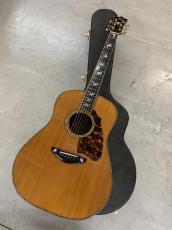 Terry's Casual TC-7J BIRD テリーズ カジュアル!L.R Baggs Element VTC付き!_14