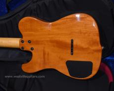 Westville Westel Semi-Hollow (Spruce top, Honduras Mahogany back / C8-AL4)_3