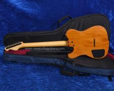 Westville Westel Semi-Hollow (Spruce top, Honduras Mahogany back / C8-AL4)_4